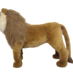 WILD & SOFT LEONE