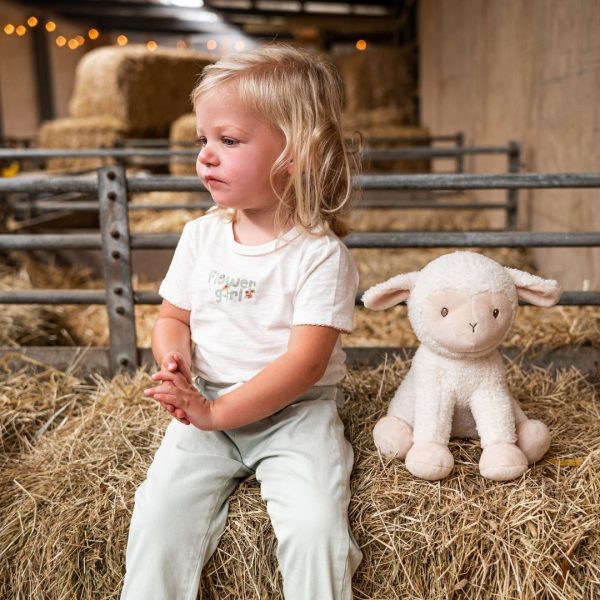 _LITTLE DUTCH CUDDLE LITTLE FARM