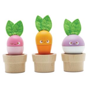 LE TOY VAN VERDURE IMPILABILI