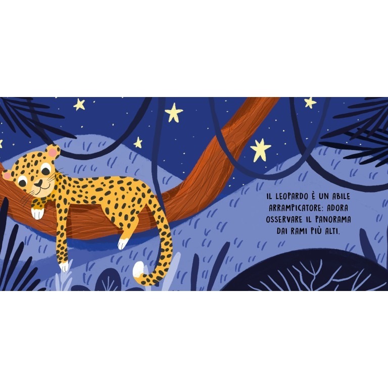 SASSI DOLCI STORIE SONORE - GLI ANIMALI DELLA NOTTE