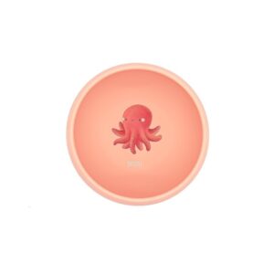 SASSI CIOTOLA IN SILICONE